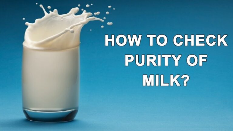 Comment vérifier la pureté du lait sans lactomètre